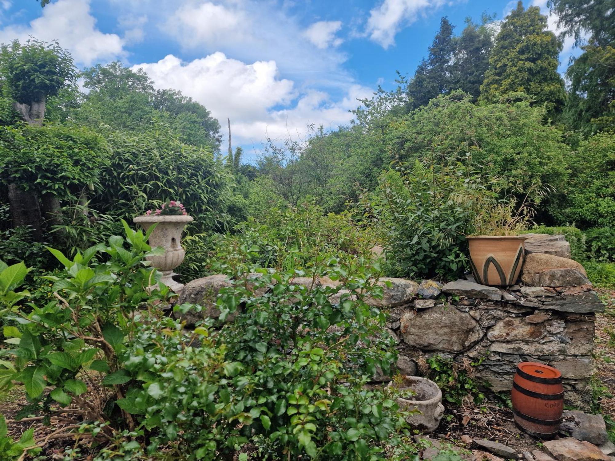Glyn Isa And Self Catering Bed & Breakfast